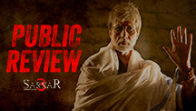 Public Review