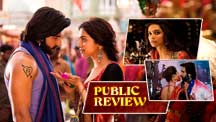 Public Review