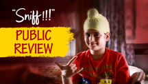 Public Review